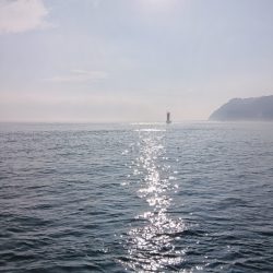 遠征釣りキャンプ