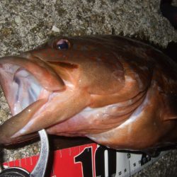 今シーズンベスト