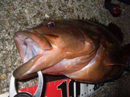 今シーズンベスト