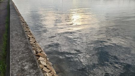 渋くても釣れるんです。