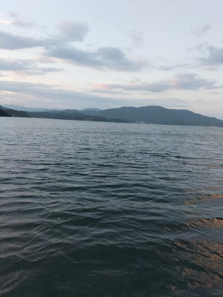 可愛いアオハタ