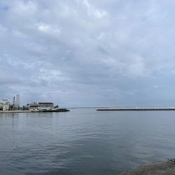 タコ　ランガン