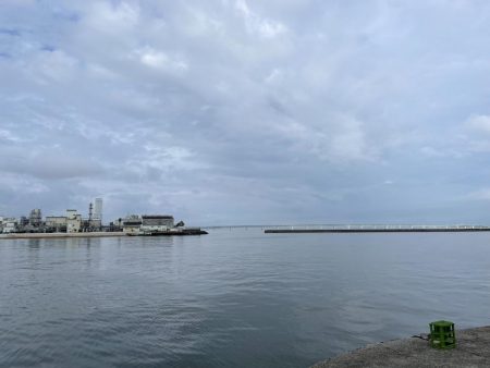 タコ　ランガン