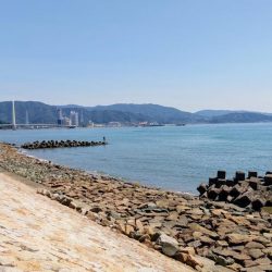 片男波(4回目)灼熱のキス釣り