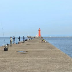 播磨新島のキス