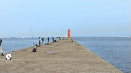 播磨新島のキス