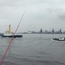 播磨新島のキス釣査