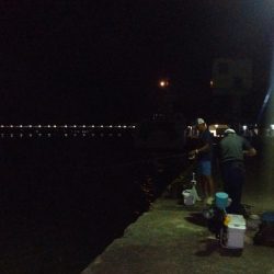 シーズ初の津居山釣行