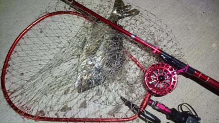 2024/07/28 南港ヘチ釣り釣行