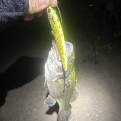 週末の増減水で