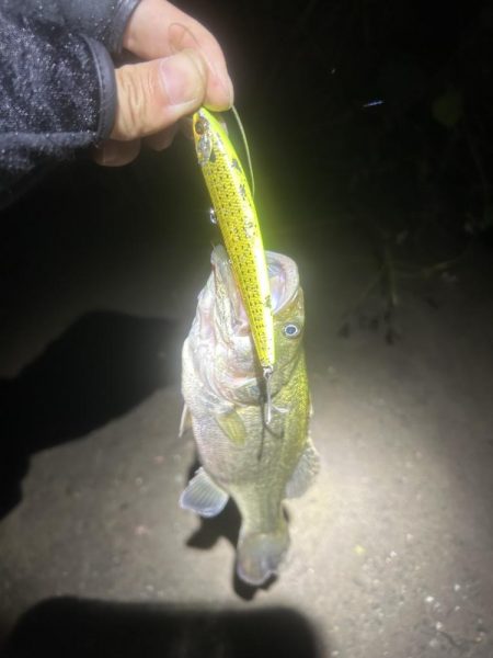 週末の増減水で