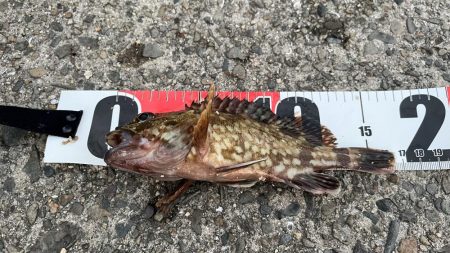 型は小さいがよく釣れる。ただしポイントにより若干ムラがあるみたい。