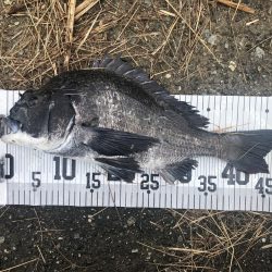 イチノ兄弟、釣果！