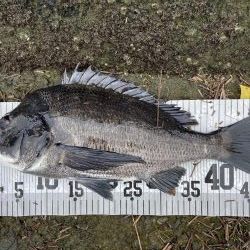 イチノ兄弟、釣果！