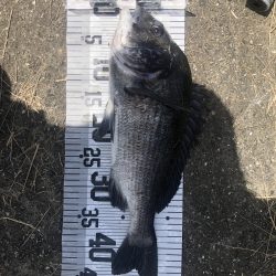 イチノ兄弟、釣果！