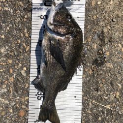 イチノ兄弟、釣果!