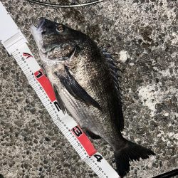 青流して自己記録！