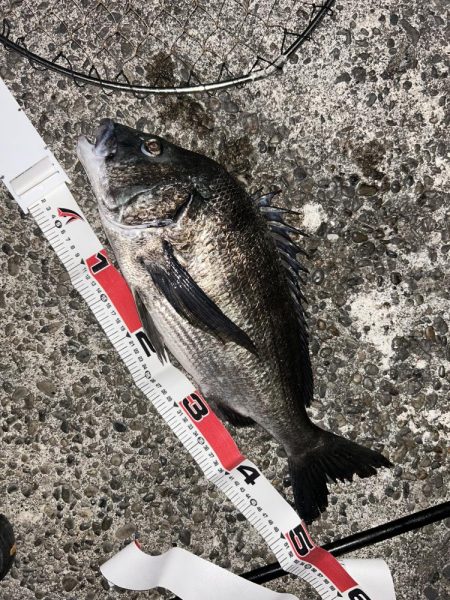 青流して自己記録！