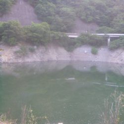 7月の淡水魚