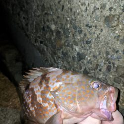 今シーズンワースト