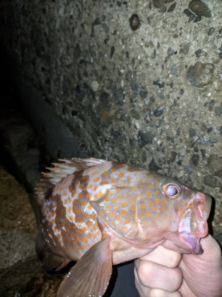 今シーズンワースト