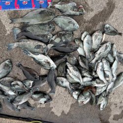 魚津港 フカセ釣り