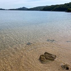 キスも大きくなってます!