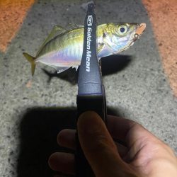 アジつ抜け達成