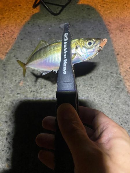 アジつ抜け達成