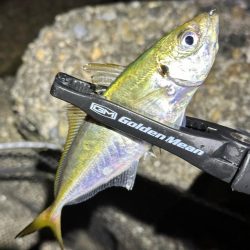 酷暑の中のフロートゲーム