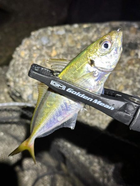 酷暑の中のフロートゲーム