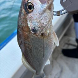 明石　タイラバ