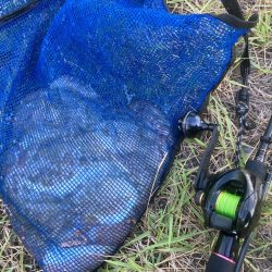 ⭐︎釣れ過ぎ注意