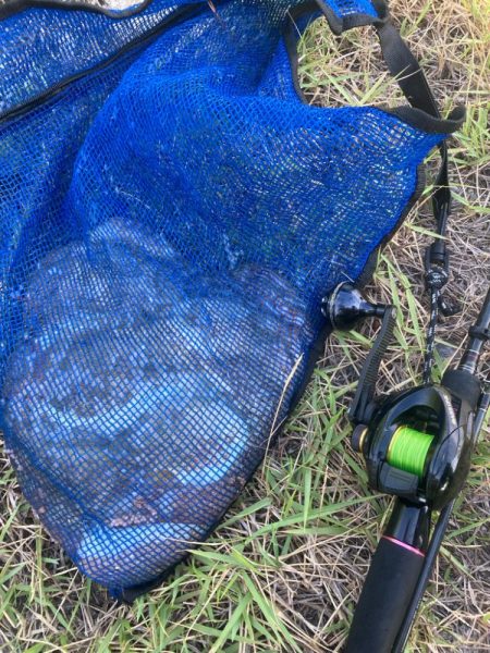 ⭐︎釣れ過ぎ注意