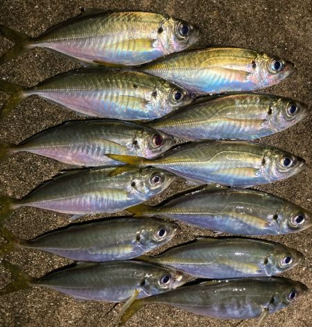 表層は豆軍団、ボトムはまあまあǴ…