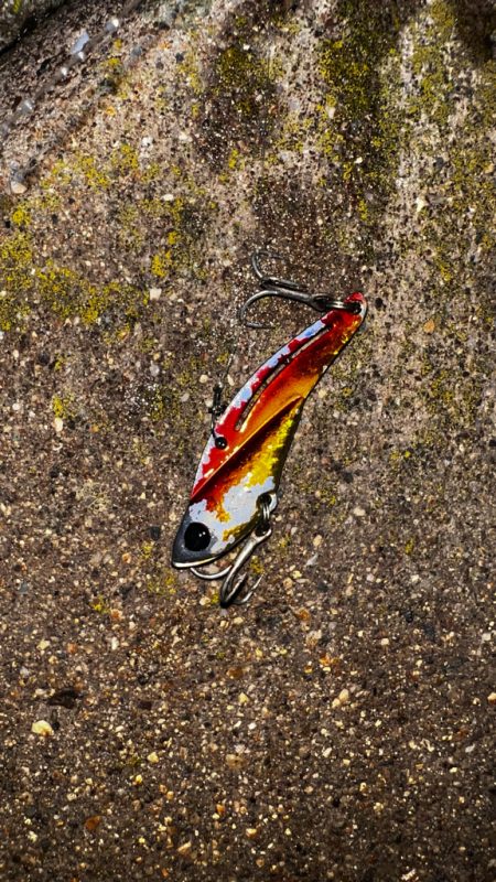 鉄板バイブが効きすぎる！