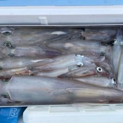 日本海剣先イカ狙い