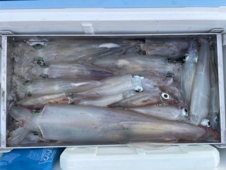 日本海剣先イカ狙い