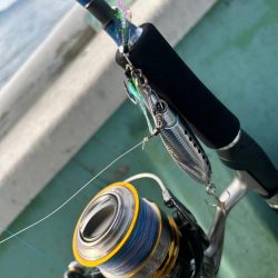 数は少ないですが4目達成！