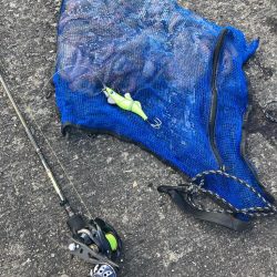 ⭐︎コスパ良し