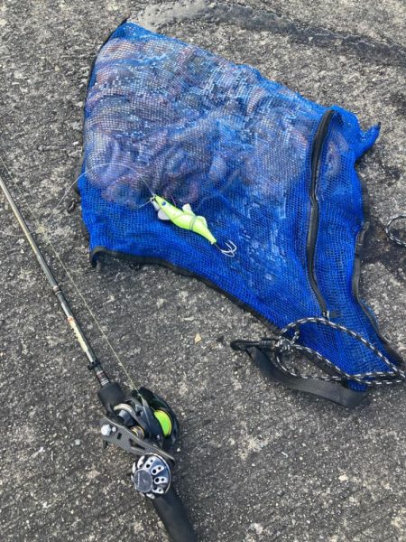 ⭐︎コスパ良し