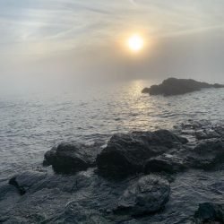 中潮･上げ潮･朝マズメ 相性抜群！