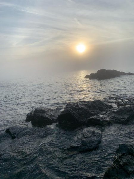 中潮･上げ潮･朝マズメ 相性抜群！