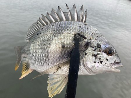 朝はどうだ⁉️