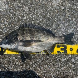 熱中症注意!チヌフカセ