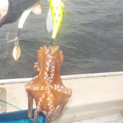 船タコ最終戦〜盛和丸〜