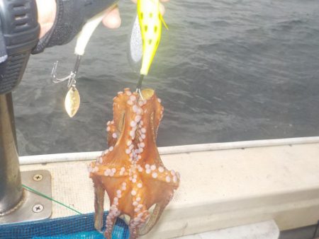 船タコ最終戦〜盛和丸〜