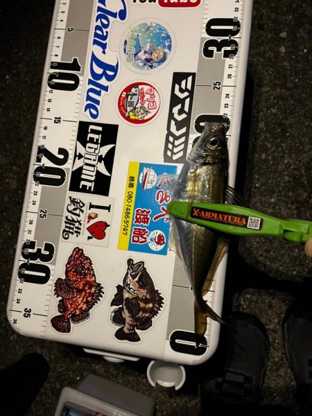 数釣りアジング