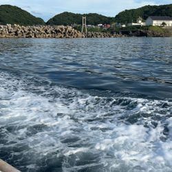 イカメタル2回目