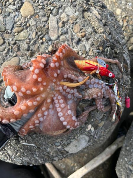 オクトパッシング8